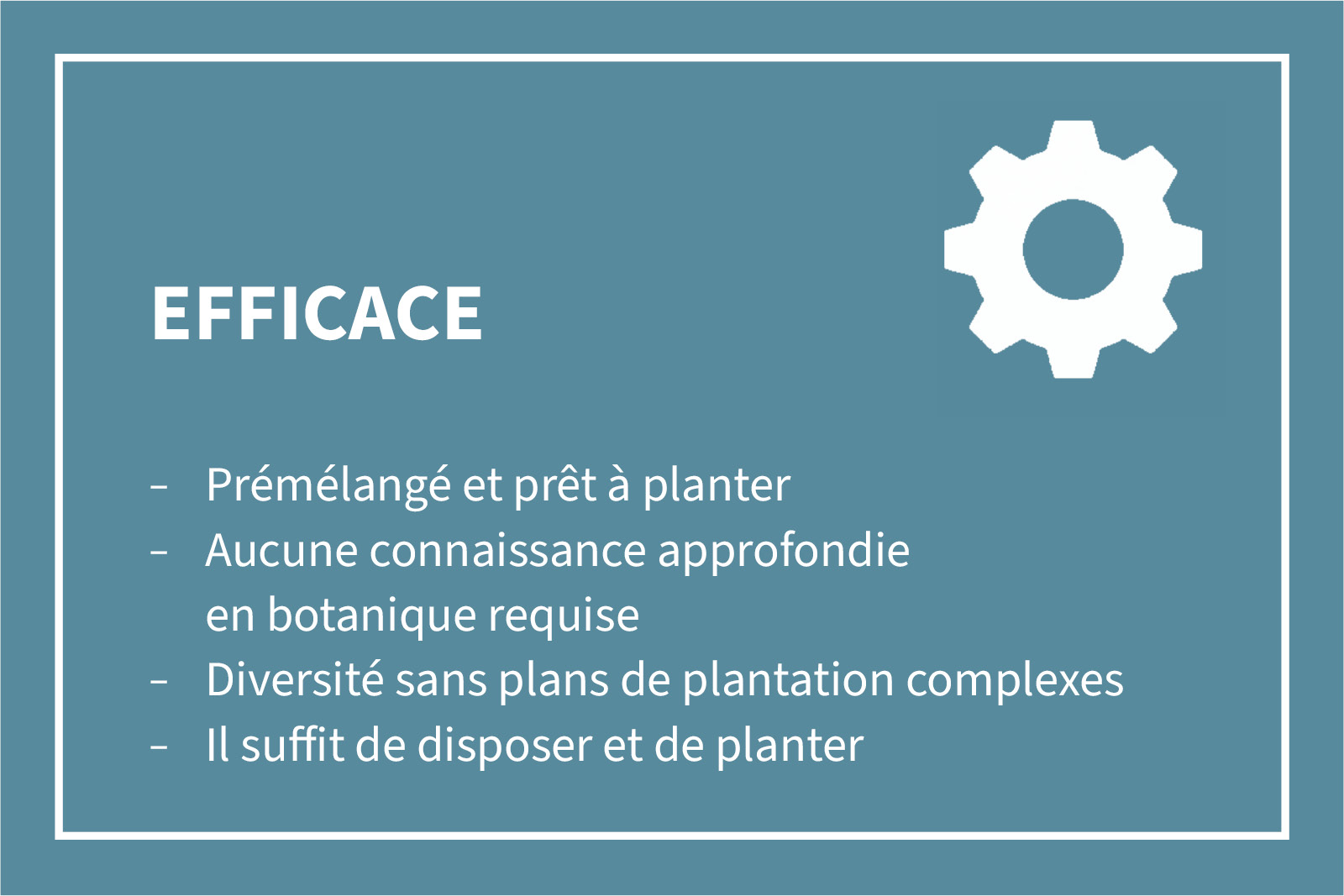 Bannière avec texte: Efficace - Prémélangé et prêt à planter, Aucune connaissance approfondie en botanique requise, Diversité sans plans de plantation complexes, Il suffit de disposer et de planter