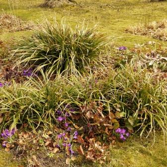 Bordure florale