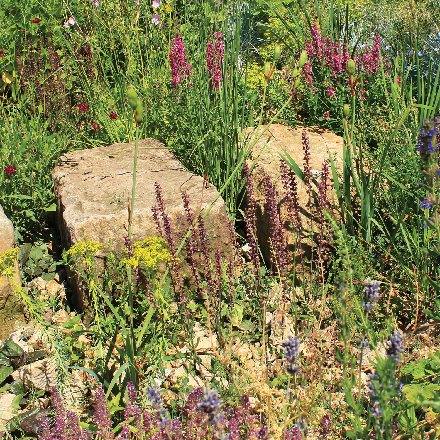 Mélange D' Infiltration 