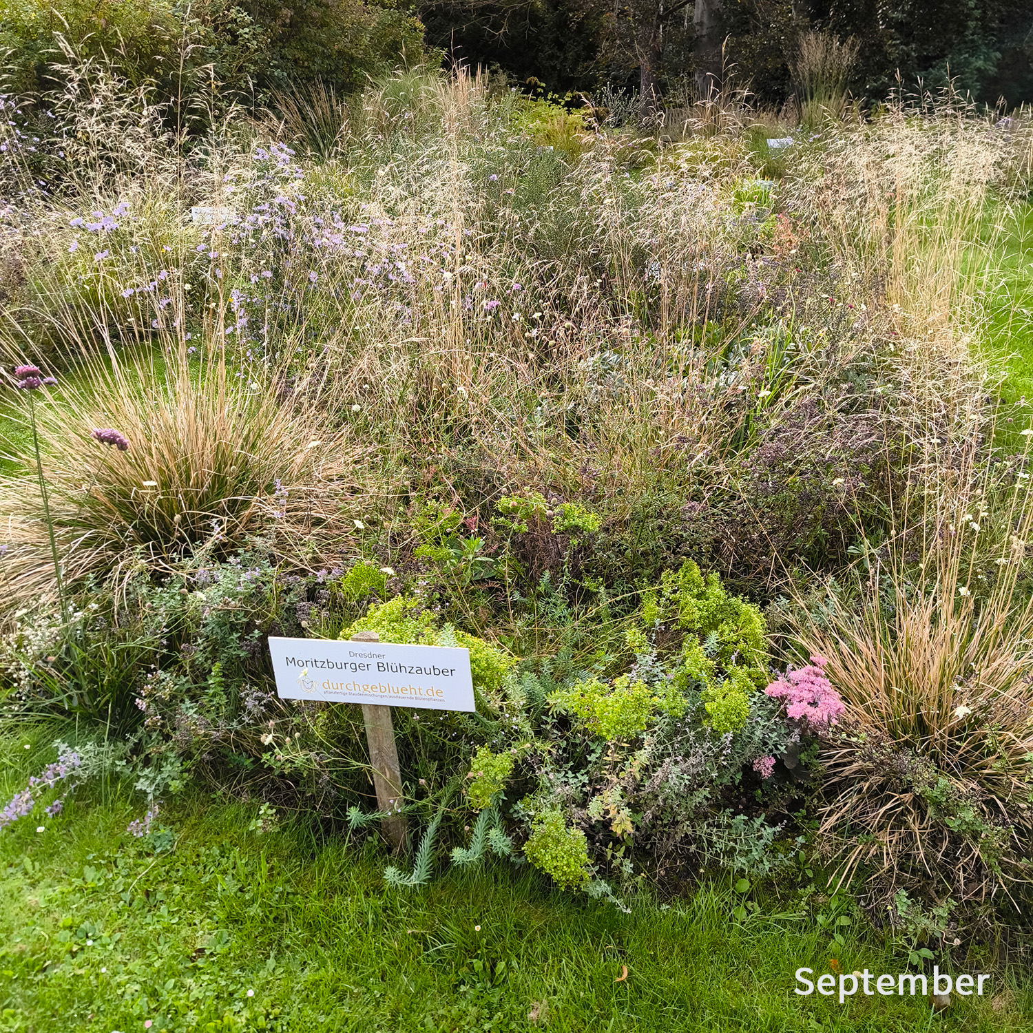 Château Moritzbourg