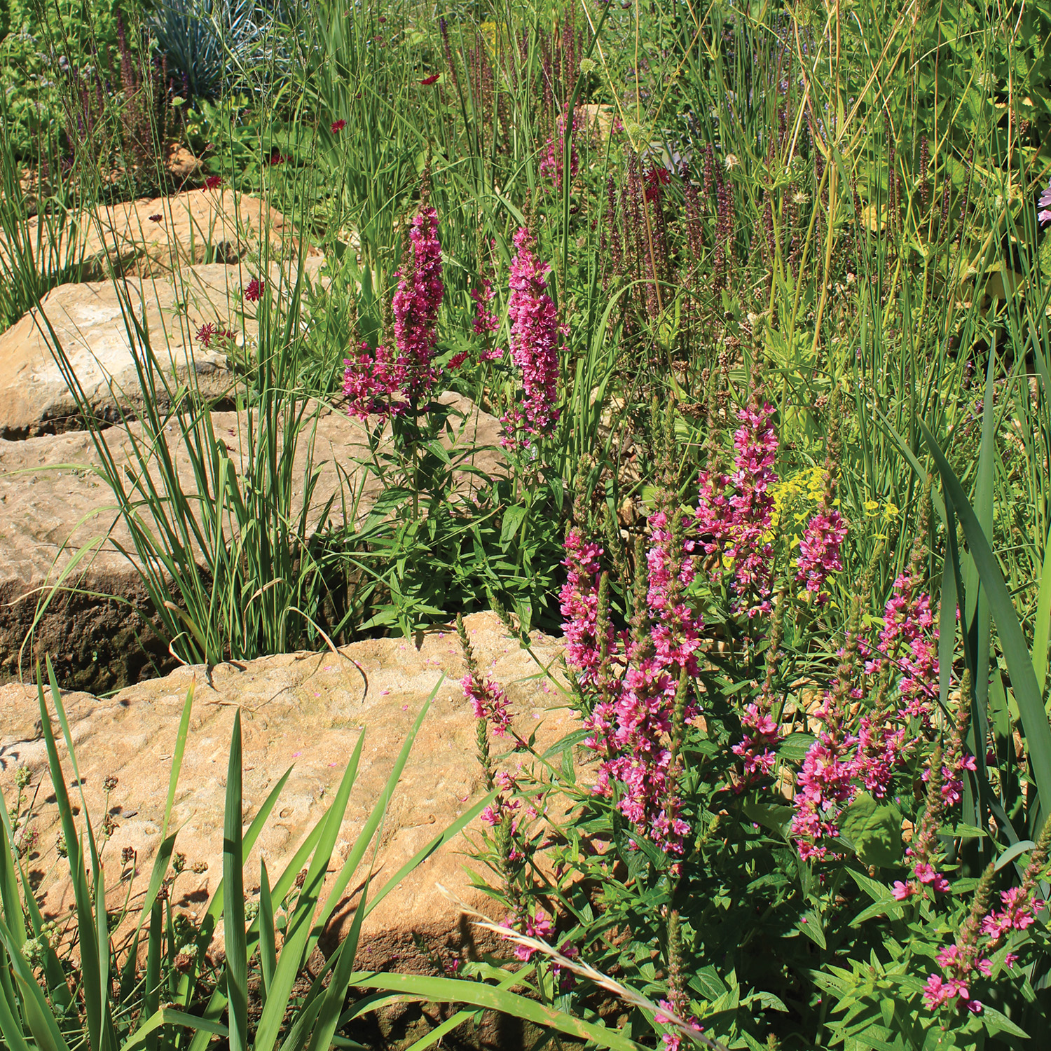 Mélange D' Infiltration 