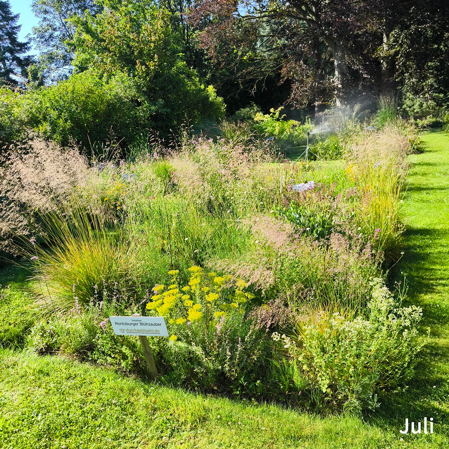 Château Moritzbourg